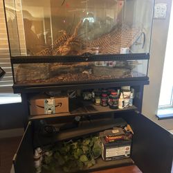 Reptile Glass Double Door cage And stand Exo Terra 