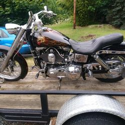 1999 Harley's 