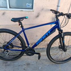 For Sale Nice And Clean Giant Roam 29 Like New