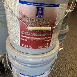 Extra white Eggshell interior Paints