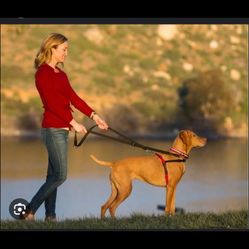 NWOT Halti Front Control Harness