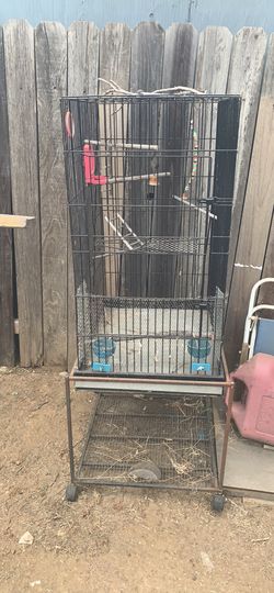Birdcage