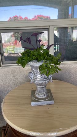 Plant urns with or without plant