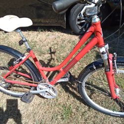 25 Dollar Everything Working Mountain Bike
