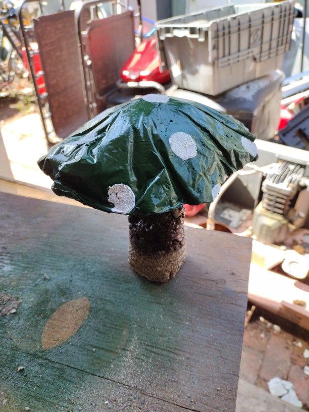 Concert Mushrooms