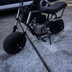 Mini Bike