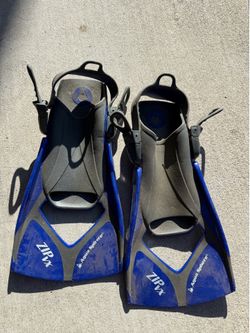 Flippers
