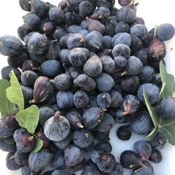 Fresh Figs 2022 Harvest 