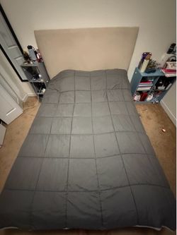 Queen Bed frame and box