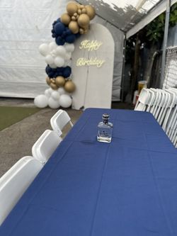 Simple Backdrop Balloon Arch