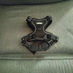 Small dog harness