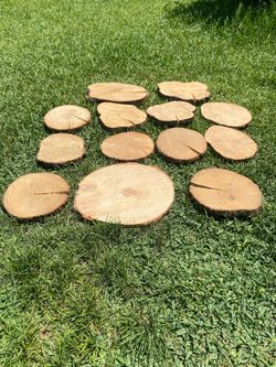 🪵*Discounted Tree Slices/ Random Sizes* (Slices Vary From The Picture Depending On What Is Available)🪵