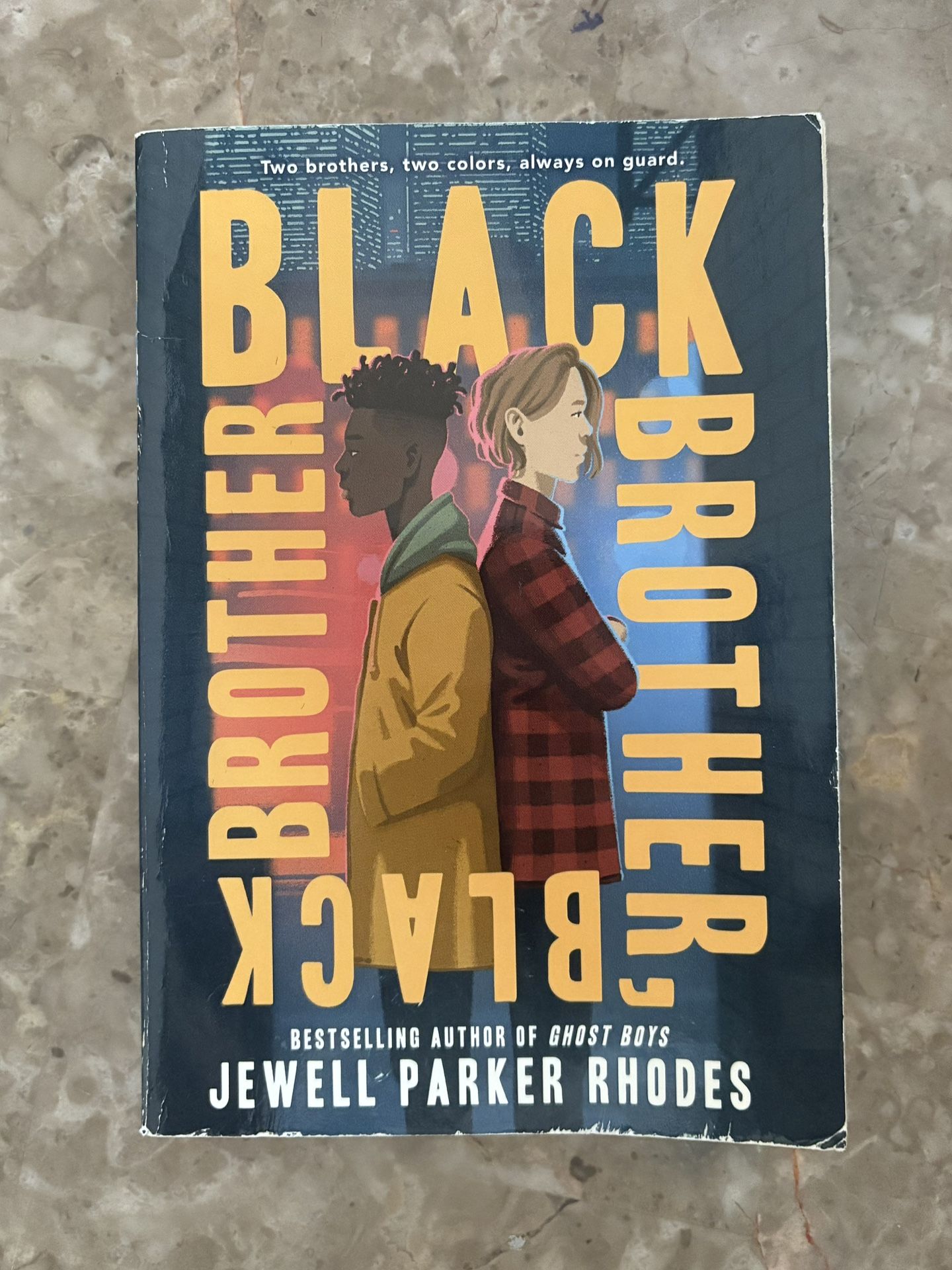 Black Brother, Black Brother Book