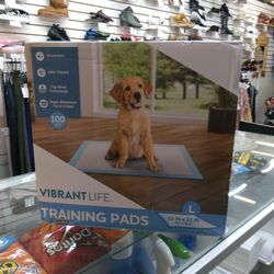 Dogs Training Pads In College Park Today 