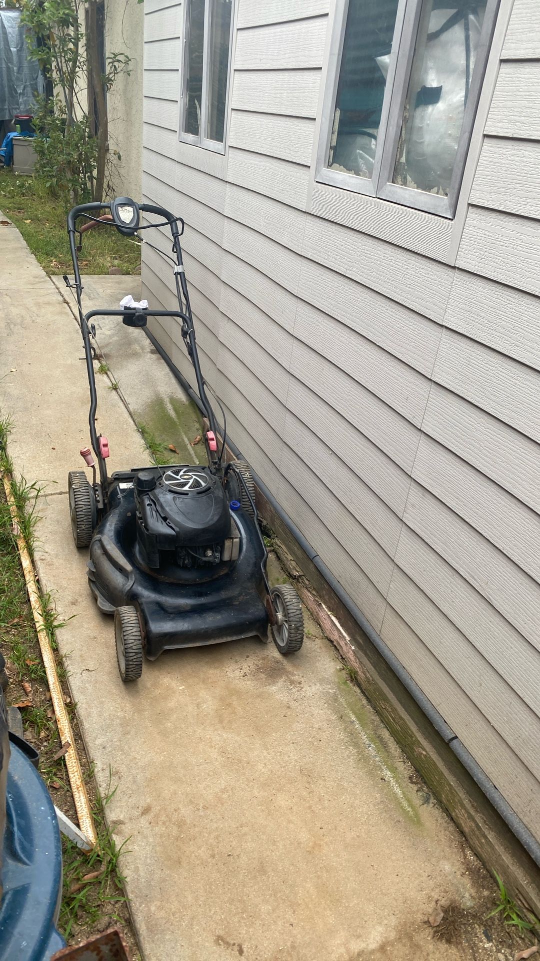Lawn Mower Auto Walker