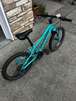 Specialized hot rock 20in