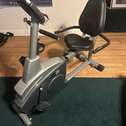 Schwinn Electric Stationary Bike