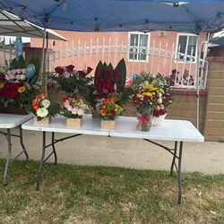 Flower For Mother Day 💐 $50 Each