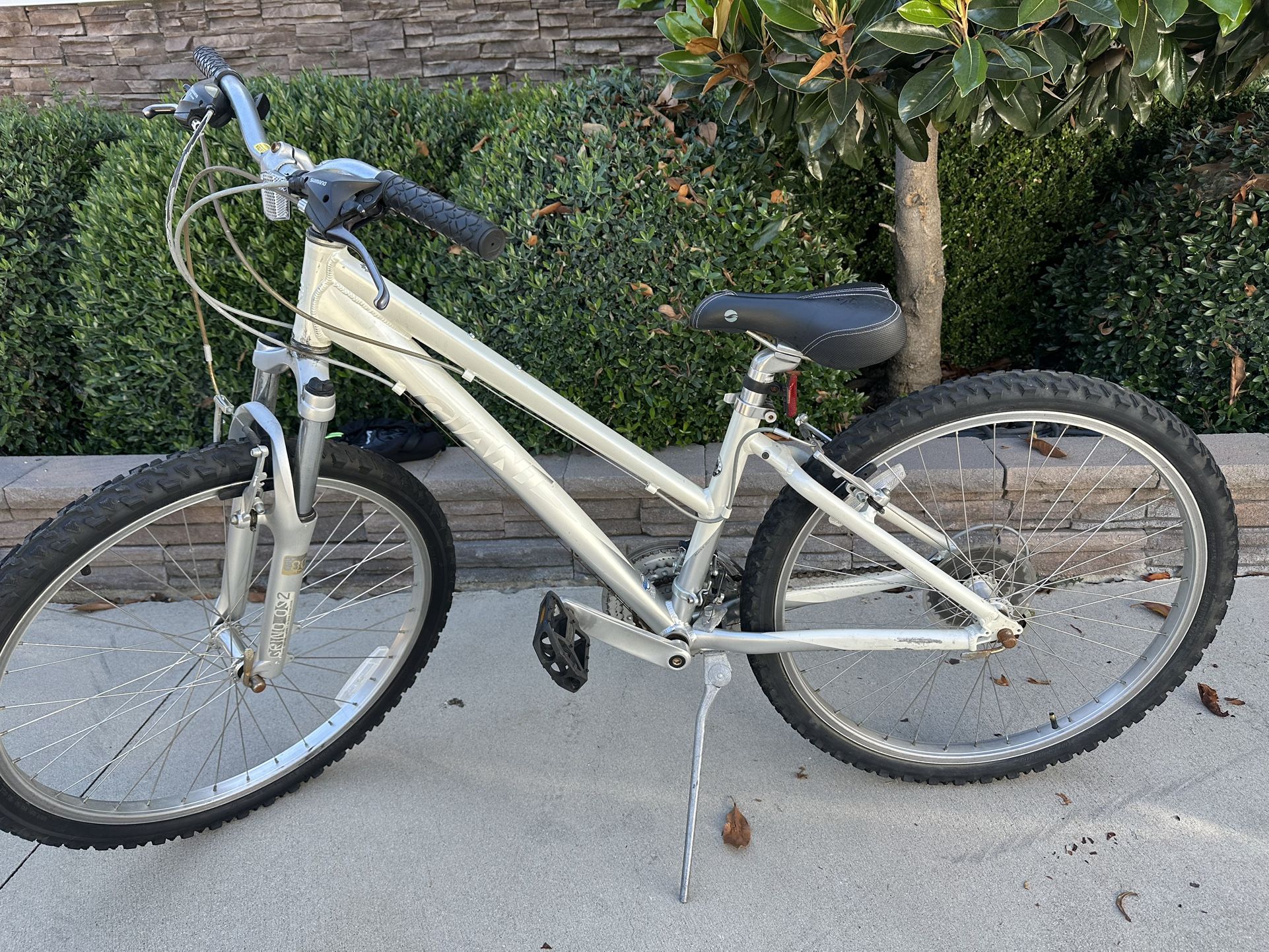 Giant Boulder SE Mountain Bike