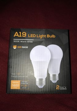 A19 LED light bulb