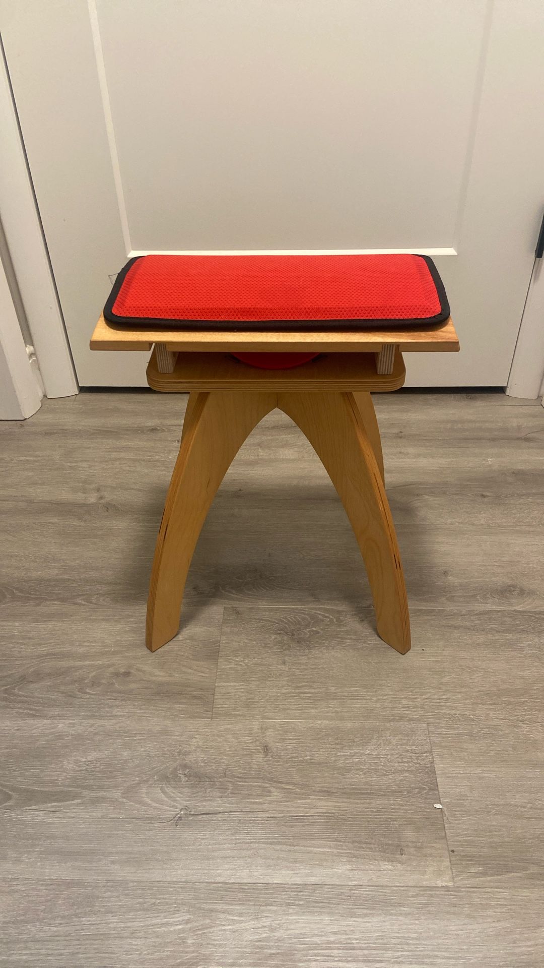 Ergonomic Chair