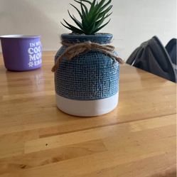 Ceramic Fake Cactus Plant 