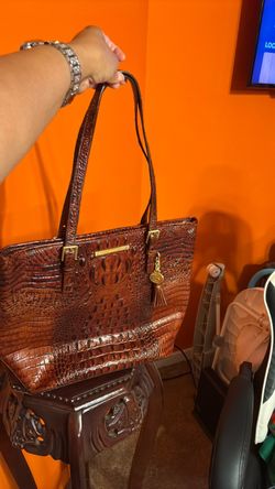 Brahmin Purse