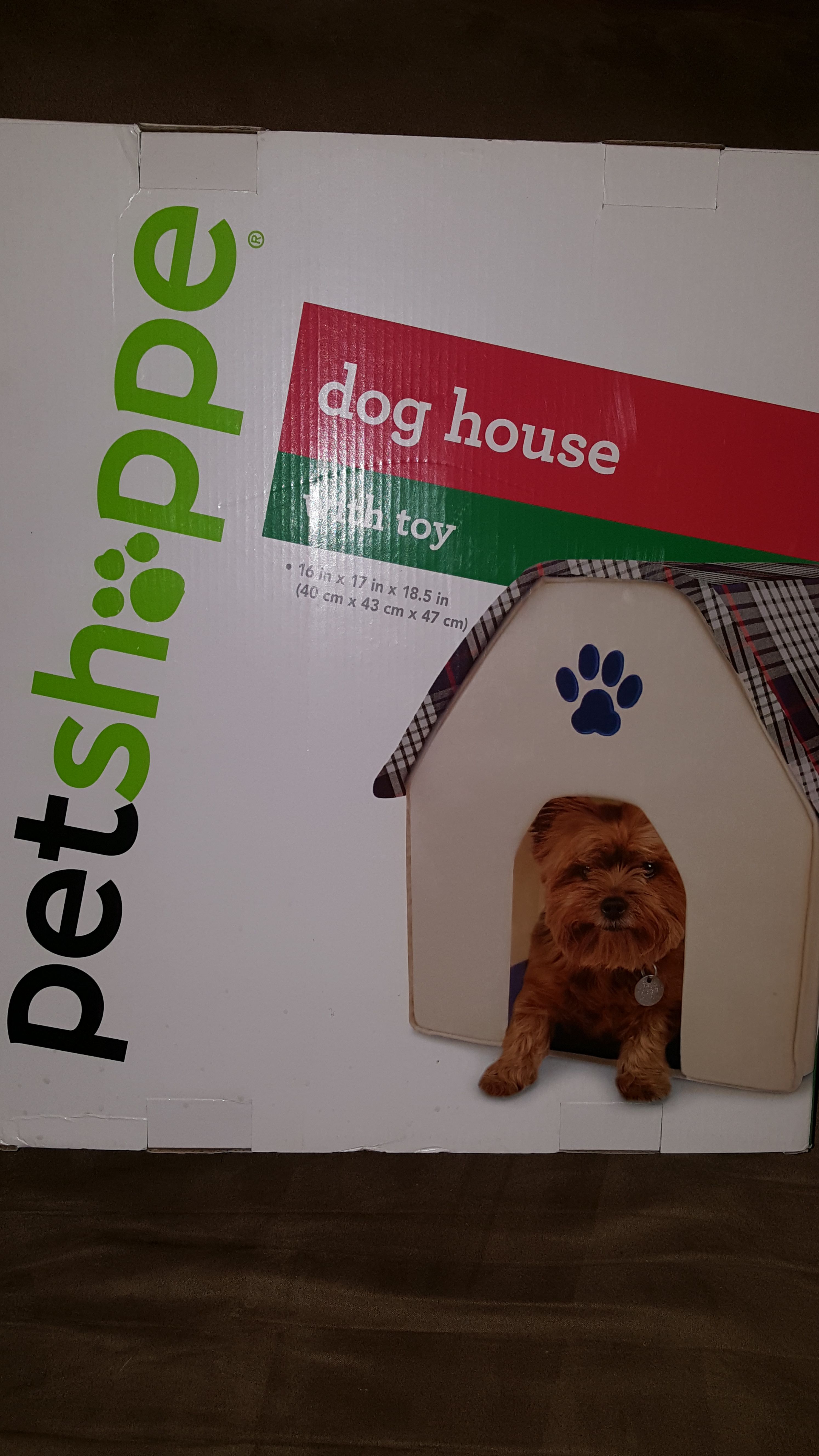Small Dog House with Toy