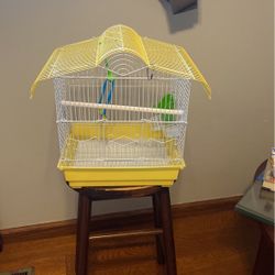 Bird Cage 