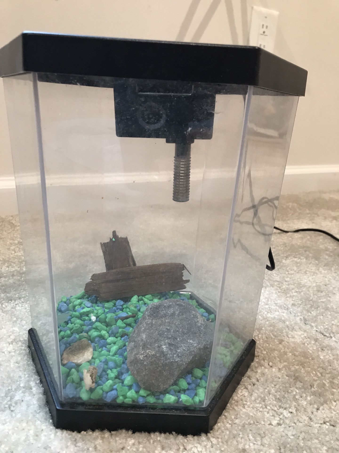 Fish Aquarium