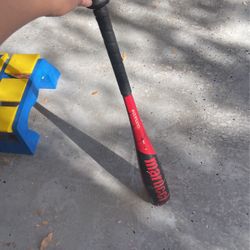 Bat
