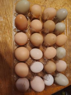 Fresh eggs