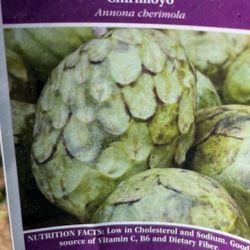 Árbol de Chirimoya 