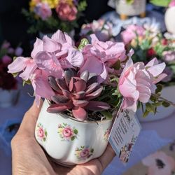 Vintage Tea Cup Succulent Arrangement 