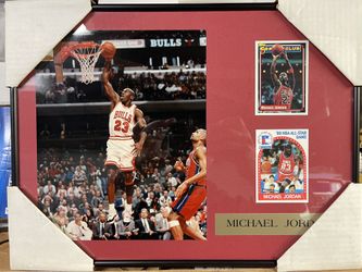 Michael Jordan/Chicago Bulls Collective Art