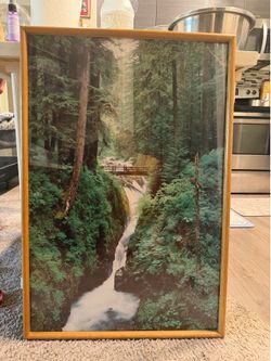 Robert L .Potts This framed print depicts Sol Duc Falls in Washington's Olympic National Park, featuring the iconic rustic wooden viewing bridge.