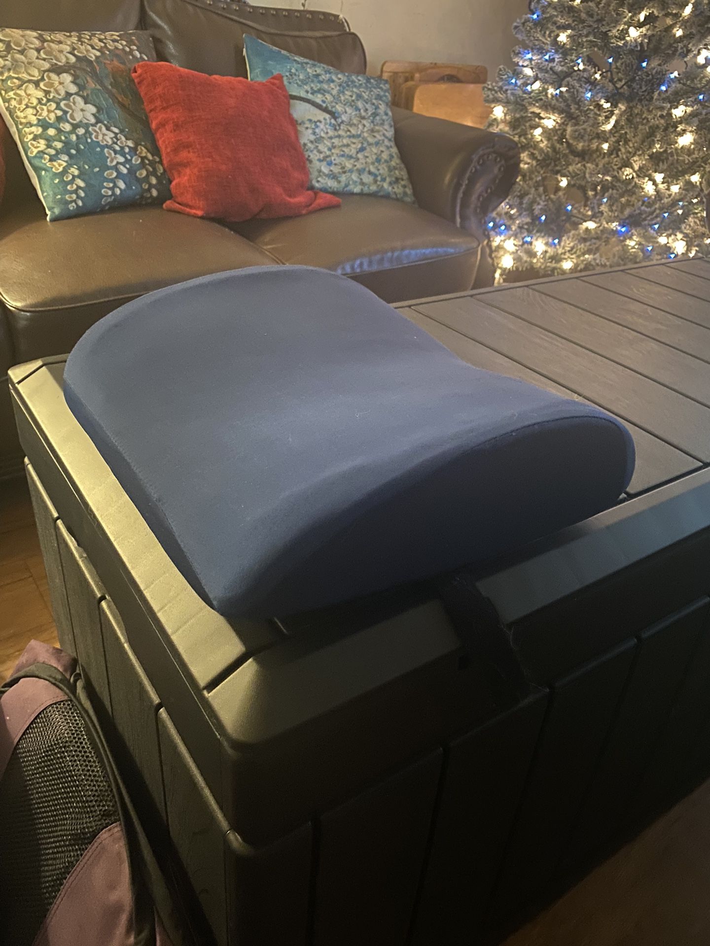 Back Support Cushion