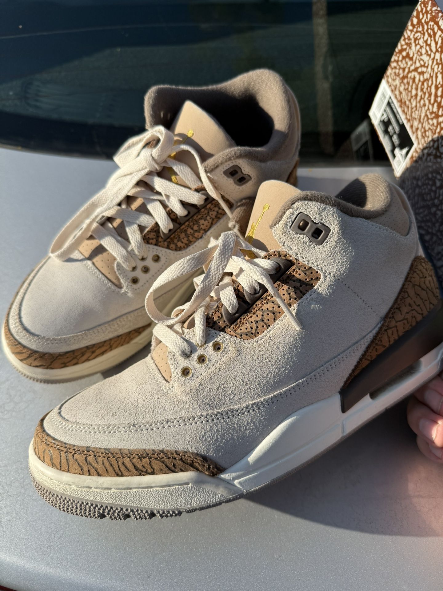 Jordan Retro 3