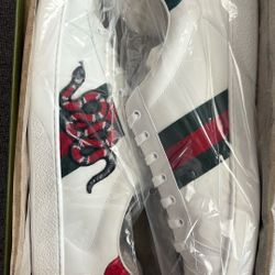 Gucci Ace Shoes