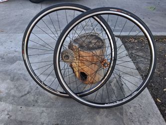 Alex Rims S500 700c Road Bike Wheelset (Includes Tires & Cassette)
