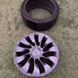 Tesla 21" Übertine Wheel 