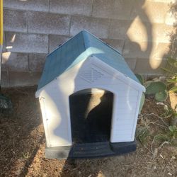 Dog House 