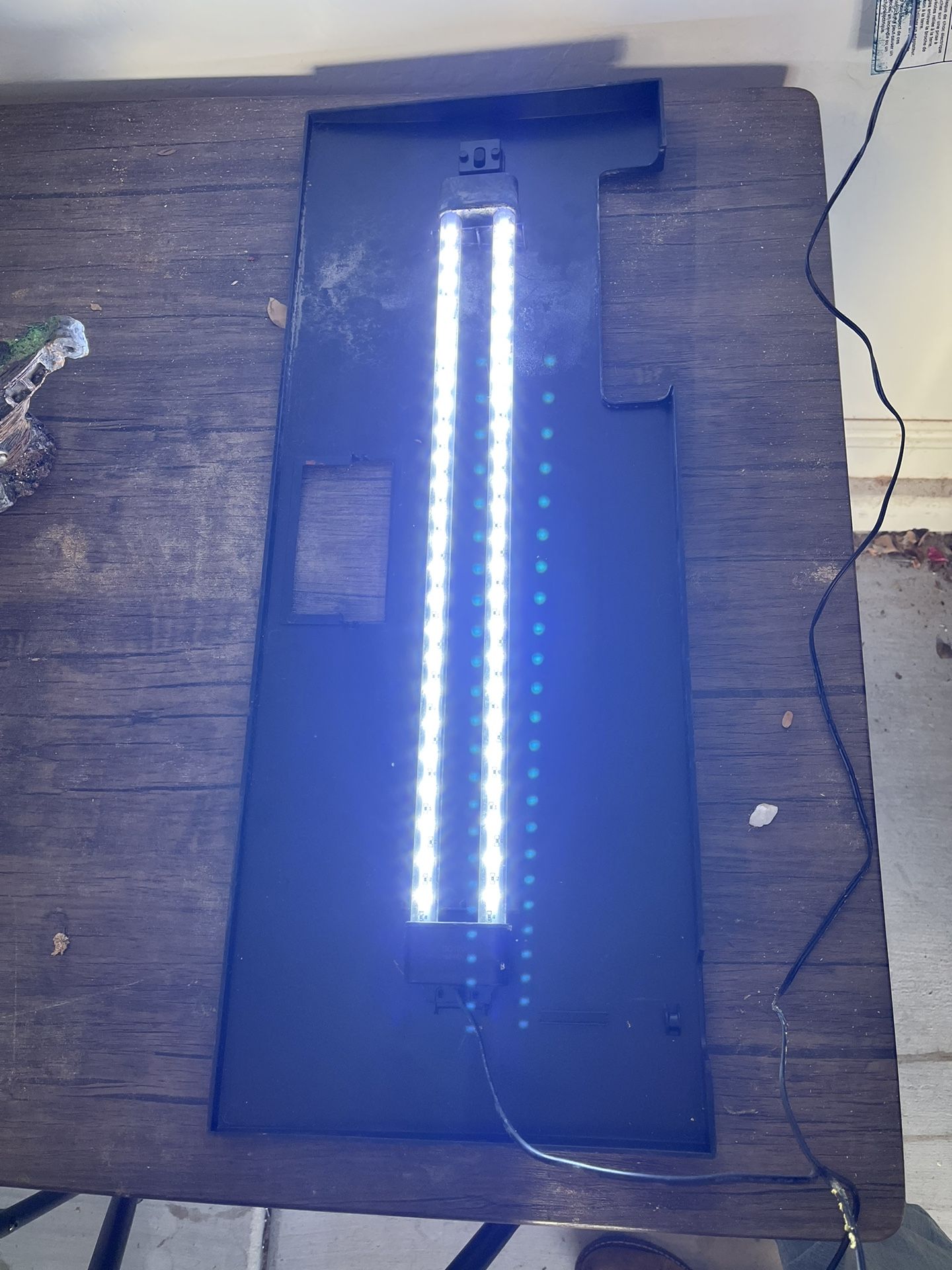 35 Gallon Fish Tank