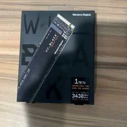 WD- Black SN750 1TB Ssd