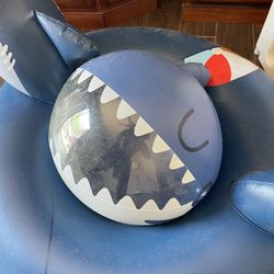 Shark Pool Inflatable