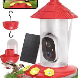 Hummingbird Feeder with Camera