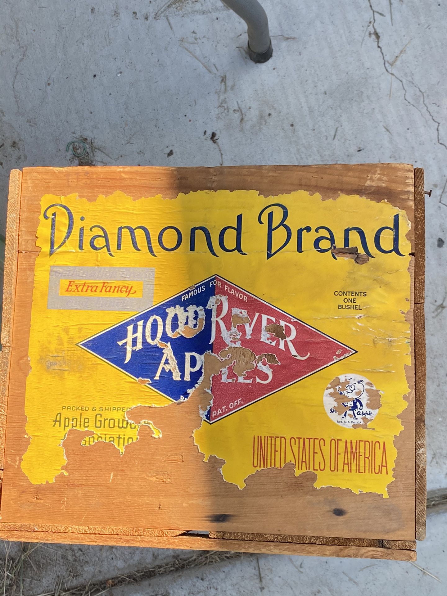 Diamond brand hood river apples wood crate