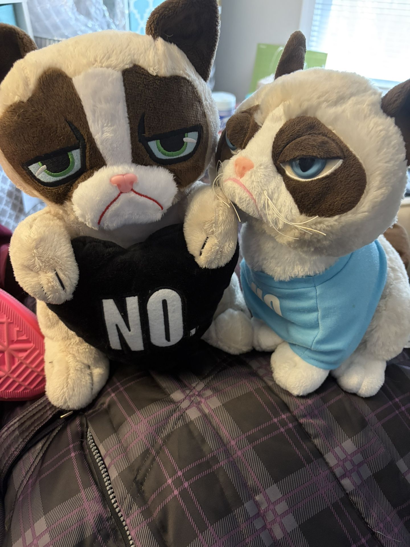 2 Grumpy Cat Plush