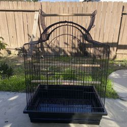 Bird Cage