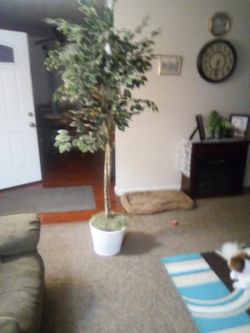 Fake plant 5ft